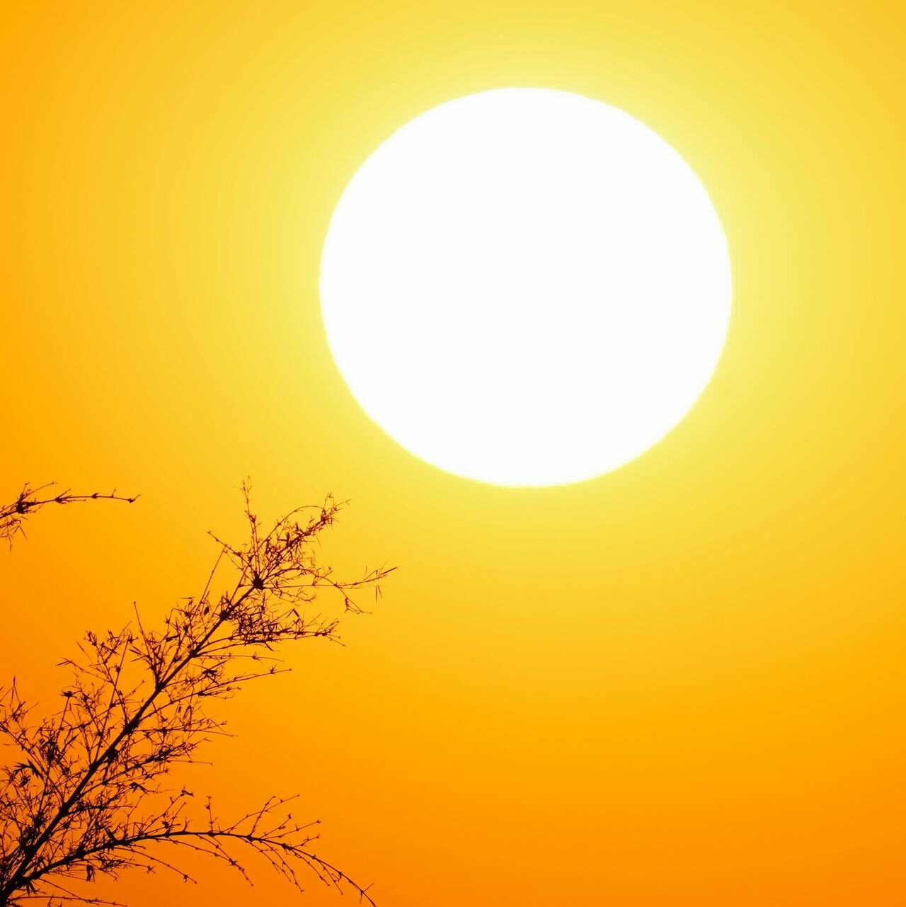 UV Protection For Cars in Cooparoo